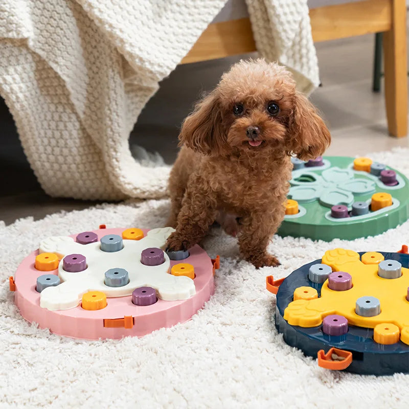 Plateau de Fouilles  – Jouet Interactif pour Chiens