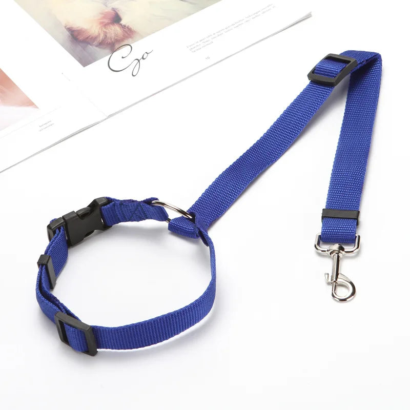 Ceinture de sécurité 2-en-1 pour animaux en voiture bleu 