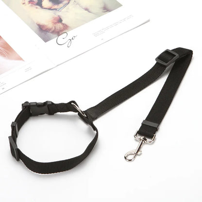 Ceinture de sécurité 2-en-1 pour animaux en voiture noir