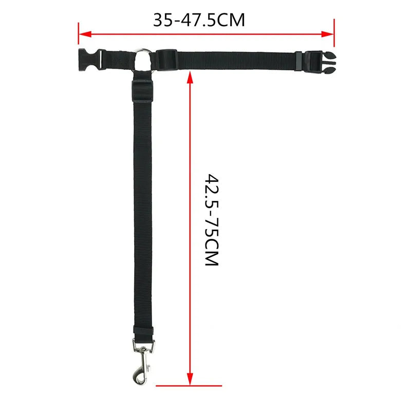 Ceinture de sécurité 2-en-1 pour animaux en voiture taille