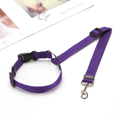 Ceinture de sécurité 2-en-1 pour animaux en voiture violet