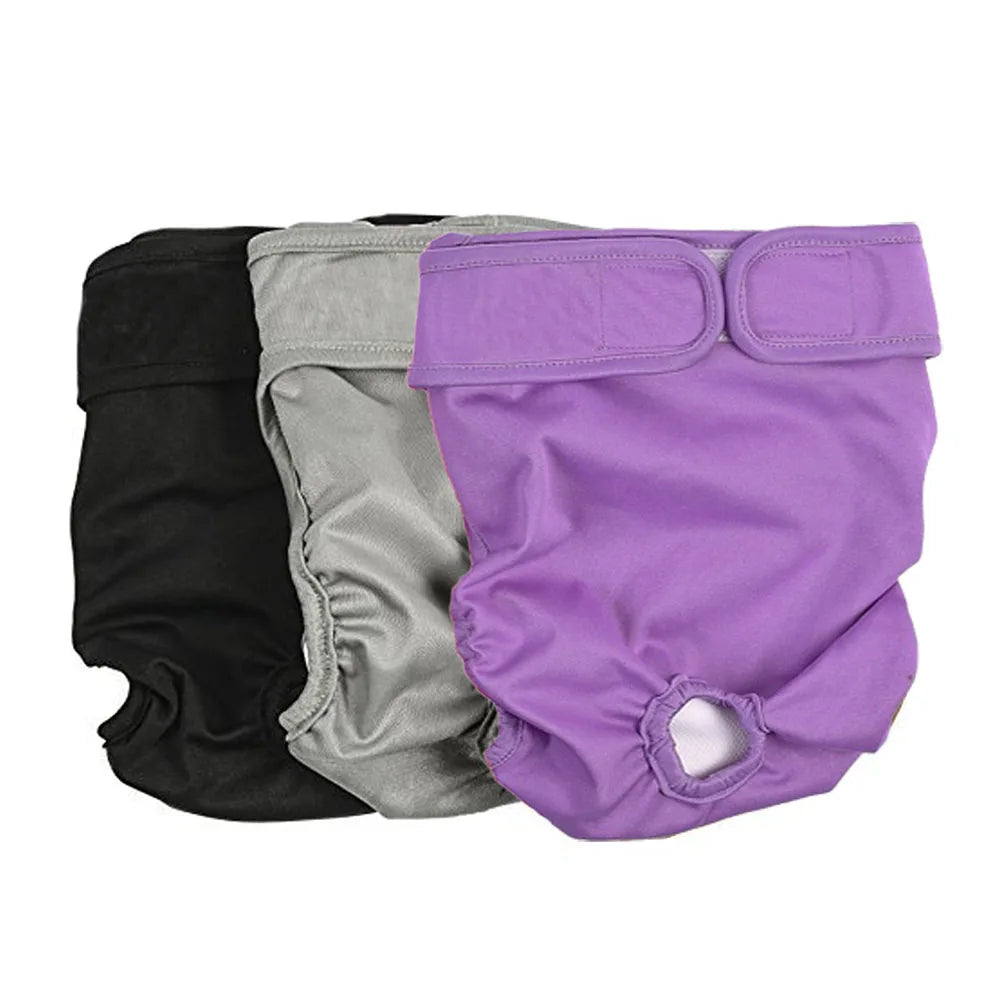 Culotte hygiénique ajustable et réutilisable pour chienne vue de face de trois coloris différentes