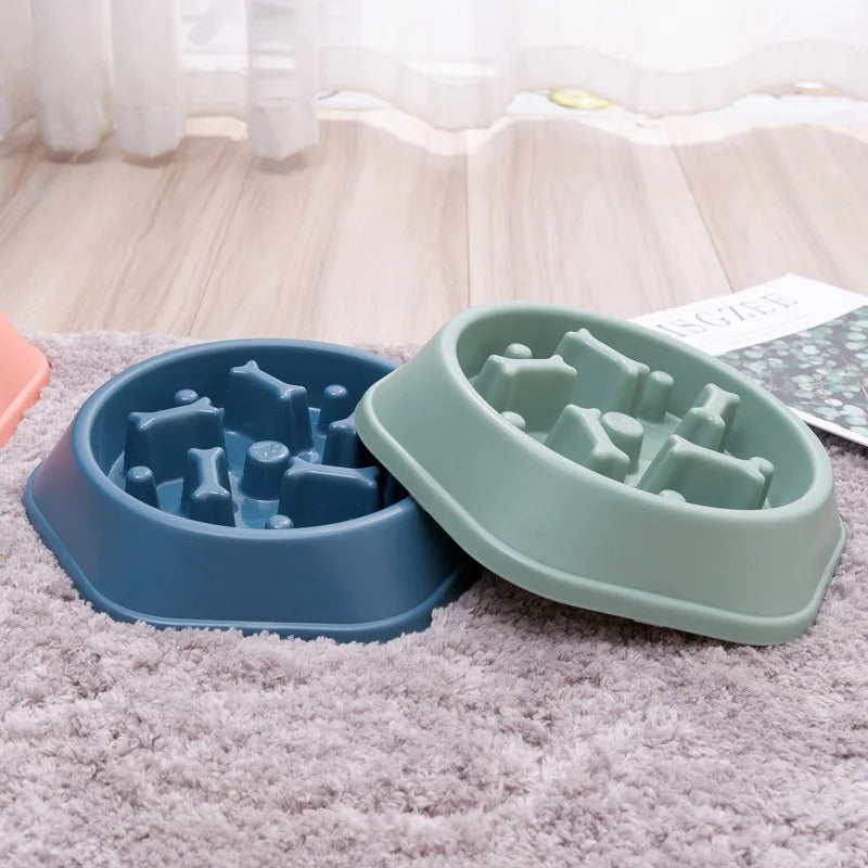 Gamelle anti-glouton pour chien favorisant une alimentation lente deux couleurs