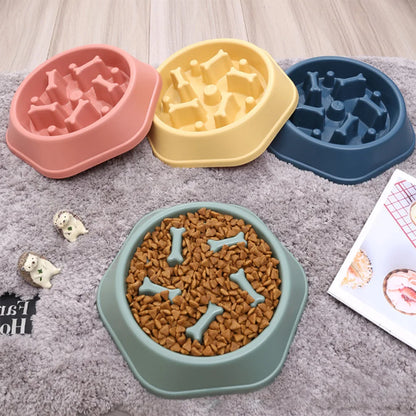 Gamelle anti-glouton pour chien favorisant une alimentation lente quatres couleurs