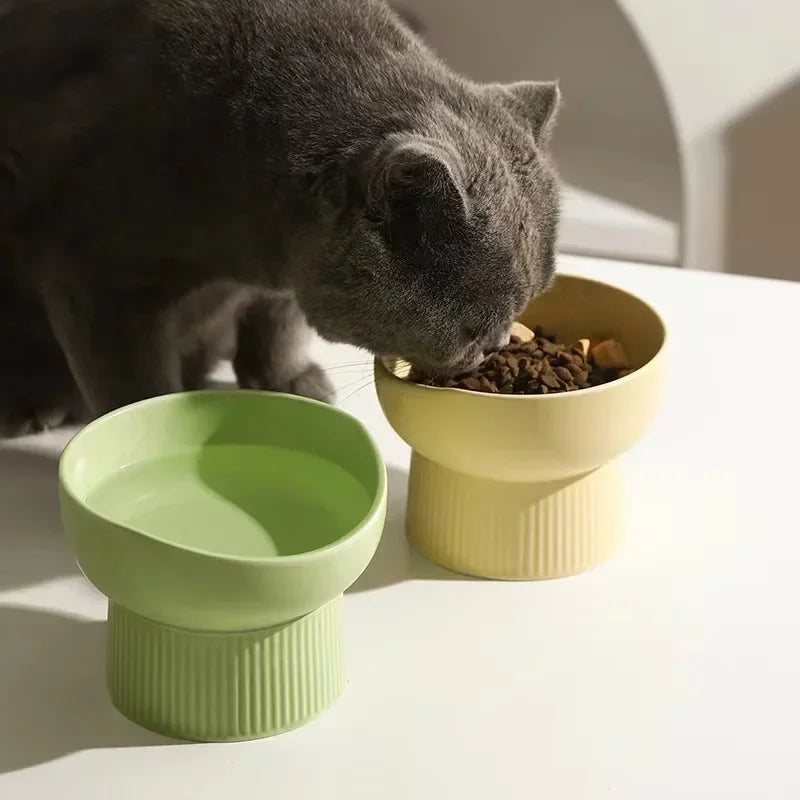 Gamelle surélevée colorée pour chien verte