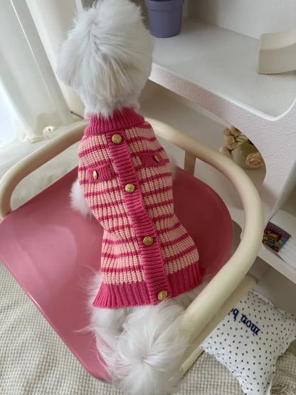 Gilet rayé en maille rose pour chien porté