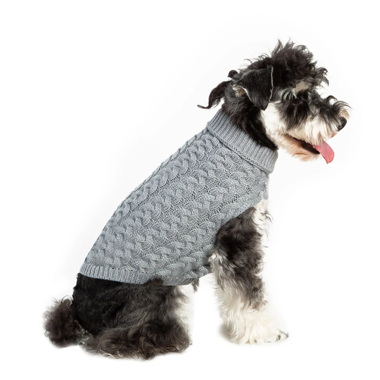 Chien portant un pull en mailles gris