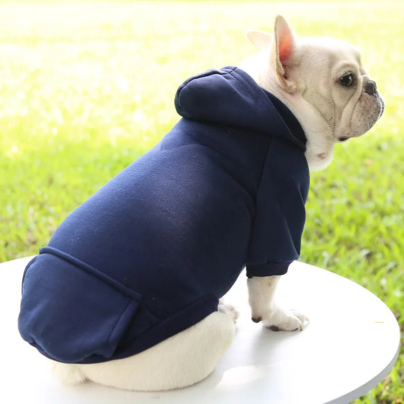 Chien portant un sweat à capuche bleu marine 