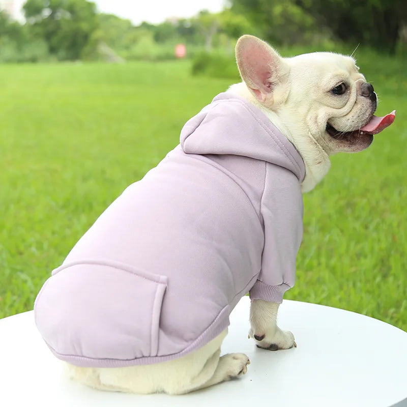 Chien portant un sweat à capuche lila