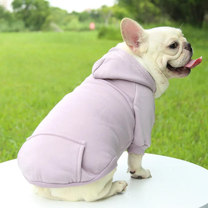 Chien portant un sweat à capuche lila