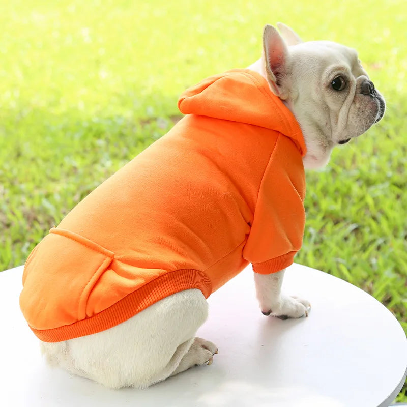 Chien portant un sweat à capuche orange 