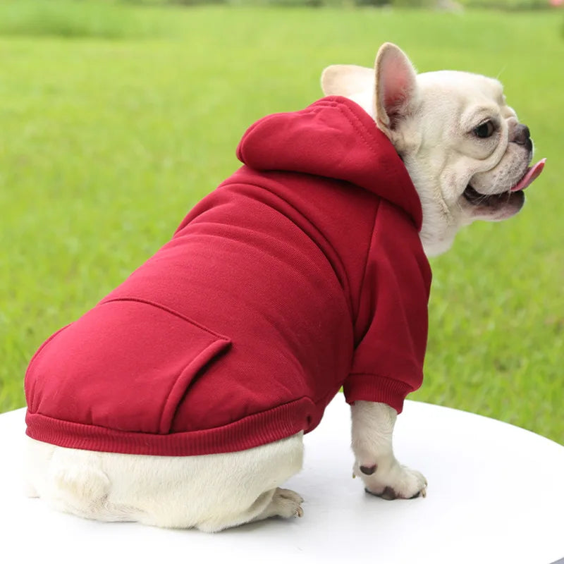 Chien portant un sweat à capuche rouge